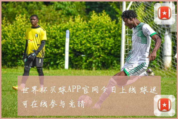 世界杯买球APP官网今日上线 球迷可在线参与竞猜