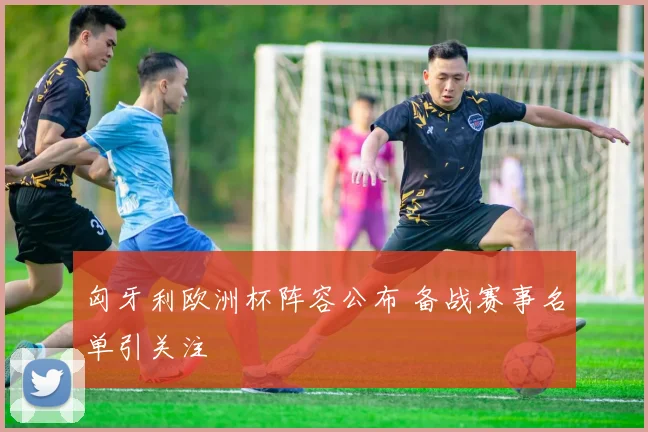 匈牙利欧洲杯阵容公布 备战赛事名单引关注