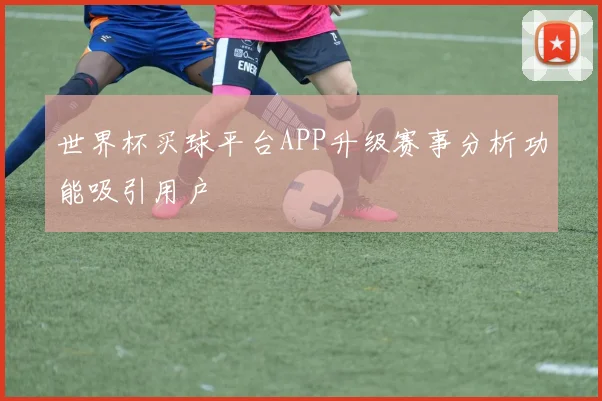 世界杯买球平台APP升级赛事分析功能吸引用户