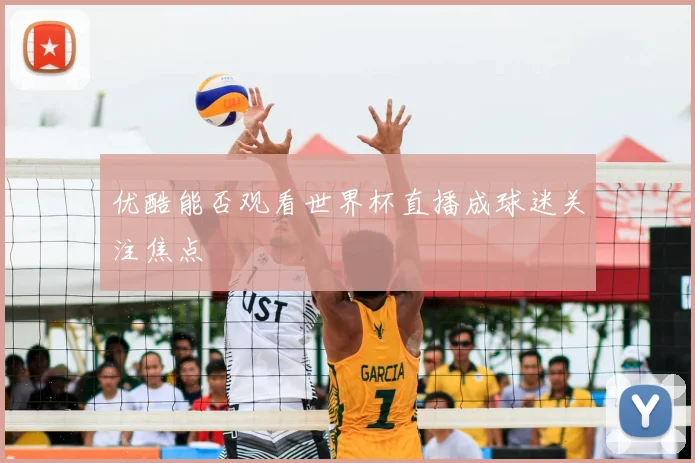 优酷能否观看世界杯直播成球迷关注焦点